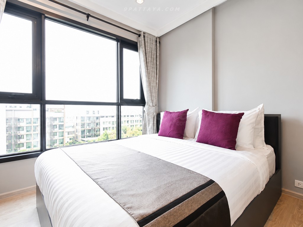 ✨ ขายคอนโด The Base Central Pattaya | ใกล้ Central Festival เพียง 480 เมตร ✨ – ภาพที่ 5 – Central Pattaya – #9P-15891