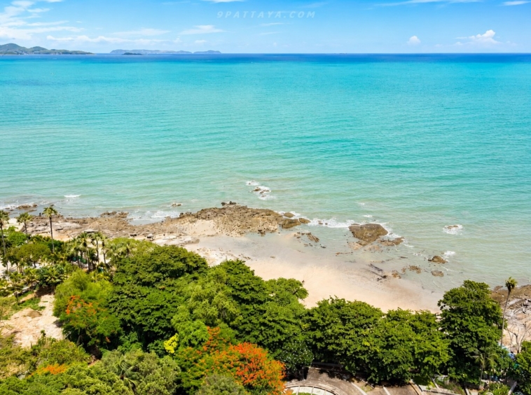✨ ขาย Penthouse ติดทะเล The Cove Condominium Pattaya | Wongamat Beach ✨ – ภาพหลัก – Wongamat – #9P-16251